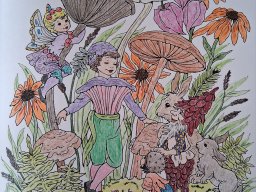 whatsapp bild 2025-08-27 um 11.42.09_da90d01b